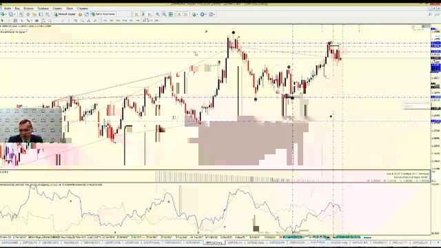 Обзор рынка «Эффект бабочки»: комплексный подход к анализу рынка2017-12-11 смотреть онлайн
