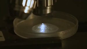 Фильм ВОДА ч 2  Тайна живой воды  HD