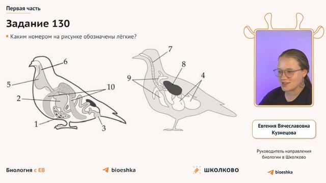 ЩЕЛЧОК к ЕГЭ 2024 по биологии  Зоология: практика 1 и 2 частей