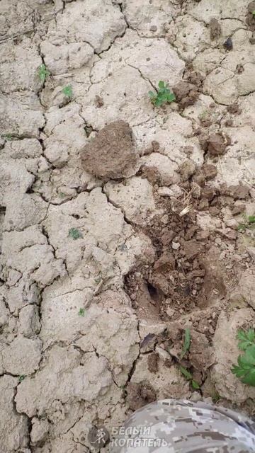 Нашёл находку... перепрячь смотреть онлайн