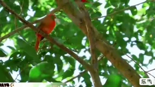 19 января 2020 г. смотреть онлайн