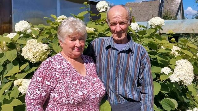 Лиозненский район, ландшафтный дизайн смотреть онлайн