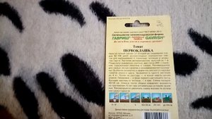 Томат "ПЕРВОКЛАШКА". Мои ЛЮБИМЫЕ СОРТА ПОМИДОР. 16.01.2020г.