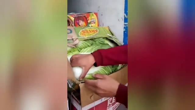 Ош облусу Россия менен Казакстанга жашылча экспорттоду смотреть онлайн