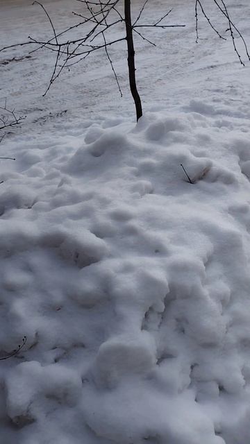 #живаяприрода #природа #зима смотреть онлайн