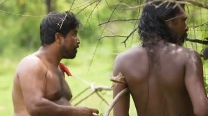 Как живут и что едят люди на острове специй — Шри-Ланке