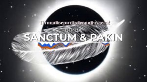 SANCTUM & PAKIN - Птица ( Lyric Video )