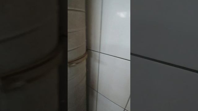 1000014659.mp4 смотреть онлайн