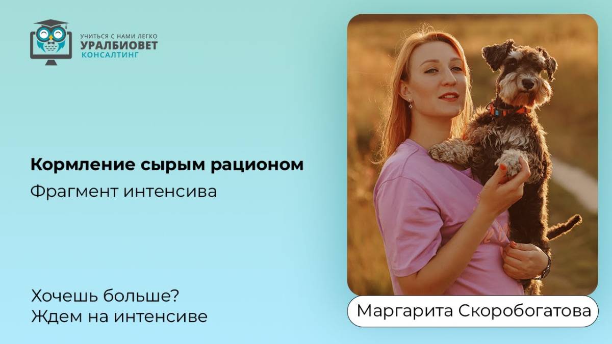 Фрагмент интенсива по кормлению сырым рационом, лектор Маргарита Скоробогатова