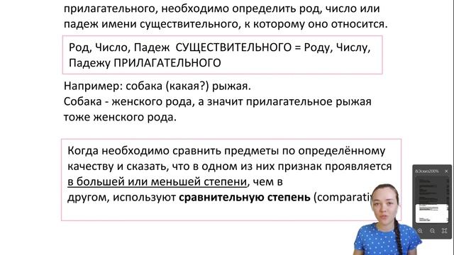 Имя прилагательное: сравнительная и превосходная степень. Русский язык как иностранный.