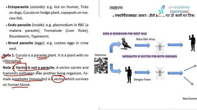 Prelims 2.0 Environment: L5 Population Interaction #6 pm_Environment смотреть онлайн
