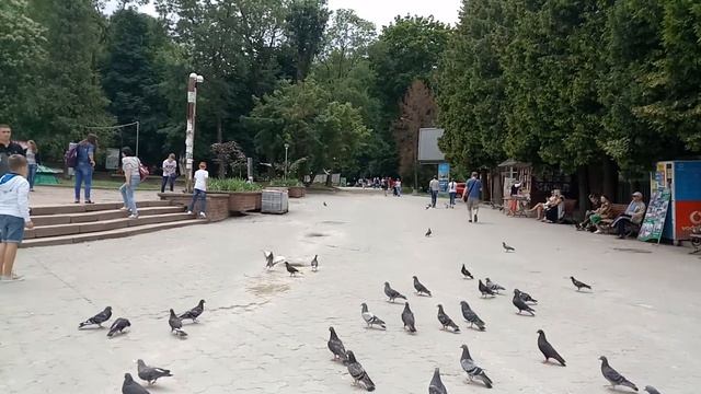 Небольшое сообщение! смотреть онлайн