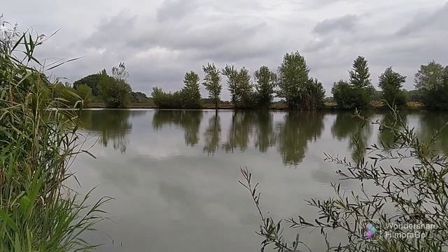 Рыбалка, Ставропольский край, Лесные озëра, Суворовская, Толстолоб в сентябре... Тверская кормушка.