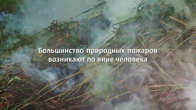 МЧС Пермский край