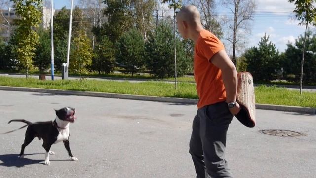 Dudarev Team в работе смотреть онлайн