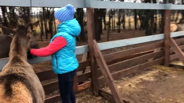 31.10.2021 // «Гринфилд парк» смотреть онлайн