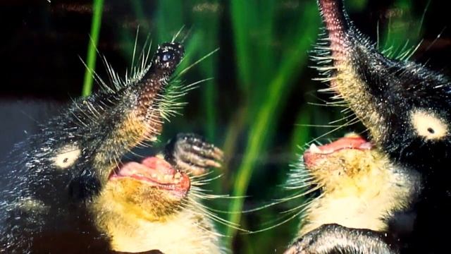 Манеж фото живой природы 16 08 16 021 смотреть онлайн