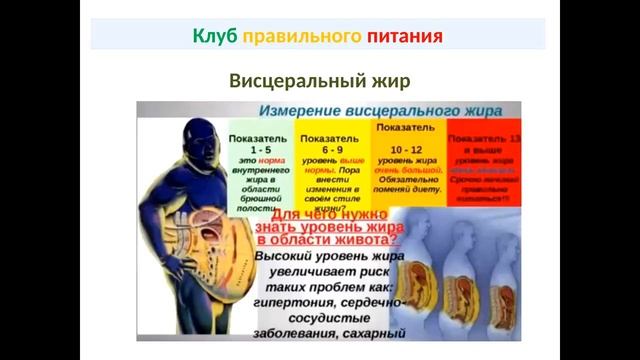 Вводное занятие к "Школе правильного питания" смотреть онлайн