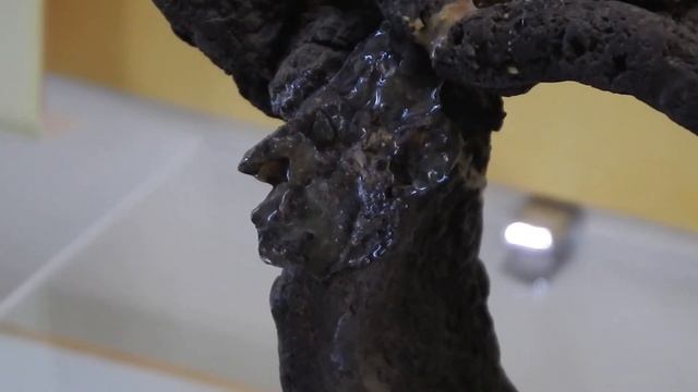 Шокирующая тайна 19 века - 2. Допотопный Таганрог.