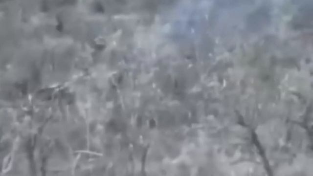 ДУЭЛИ И БОЛЕЛЬЩИКИ смотреть онлайн