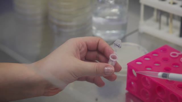 Техники микробиологического посева-ожог плодовых смотреть онлайн