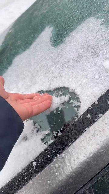 сначала снегопад, теперь ледяной дождь автоподборы переносятся #хабаровск смотреть онлайн