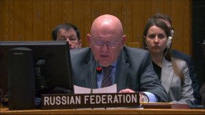 Statement by Permanent Representative Vassily Nebenzia at a UNSC Briefing on the DRC