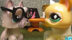 LPS: Слепая 41 серия