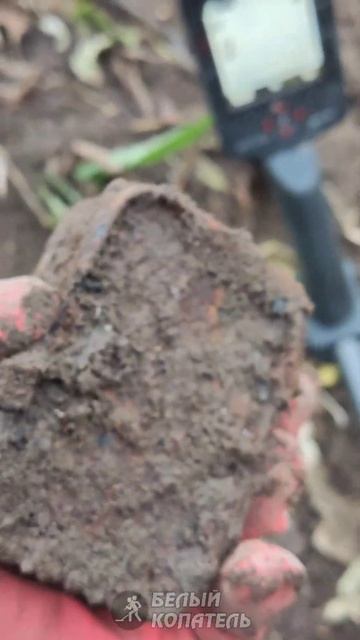 Нашёл ржавую коробочку, а в ней лежала смотреть онлайн