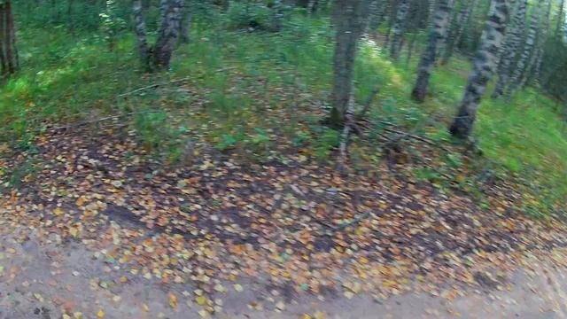 Грибной киноочерк.Не ходите люди в селигерский лес-ничего хорошего. 1 серия смотреть онлайн