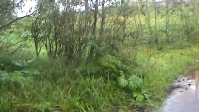 Вызов Бена Утопленника днем.2 Часть смотреть онлайн