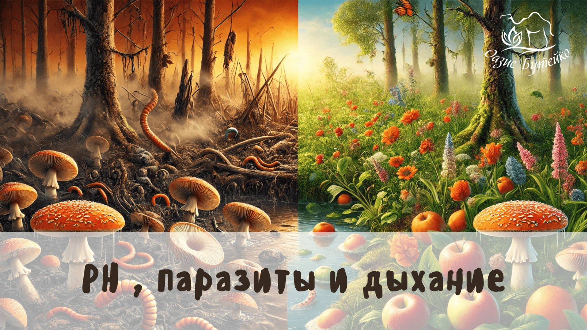 ч.80 Паразиты, закисление и рН. Оазис Бутейко смотреть онлайн
