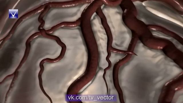 Твоё здоровье 08.11.2018 смотреть онлайн