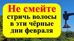 Дни февраля, когда волосы нельзя стричь.  Лунный календарь стрижки волос на февраль 2025 года