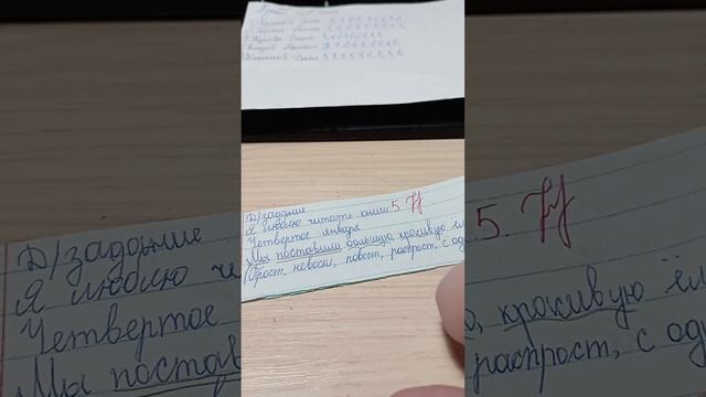 Проверяю тетради по русскому языку