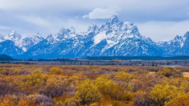 Живая природа 4 смотреть онлайн