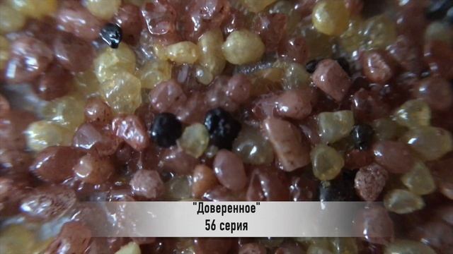 ДОВЕРЕННОЕ 56 серия русская озвучка {ДАТА ВЫХОДА И АНОНС} / Emanet 56. Bölüm смотреть онлайн