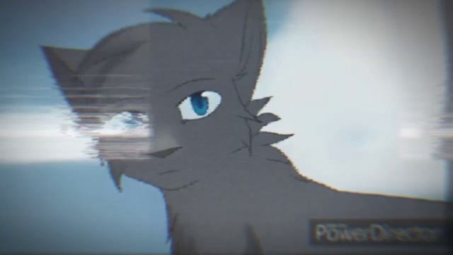 Коты-воители. История Синей Звездв. Слёзы. смотреть онлайн