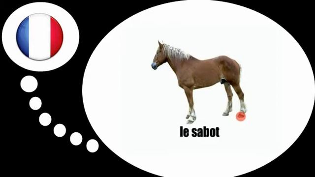 урок французского языка = Лошадь # 1 смотреть онлайн