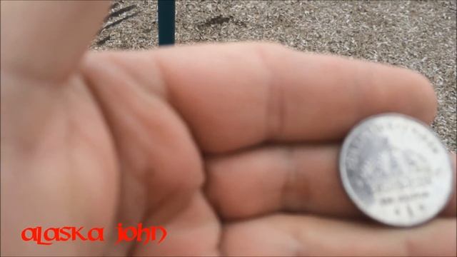 ALASKA METAL DETECTING - Swedish Coin Found - Garrett AT Pro