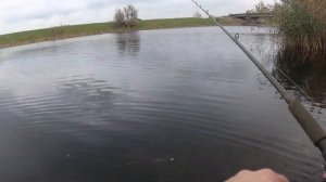 Щука осенью на бигбейт