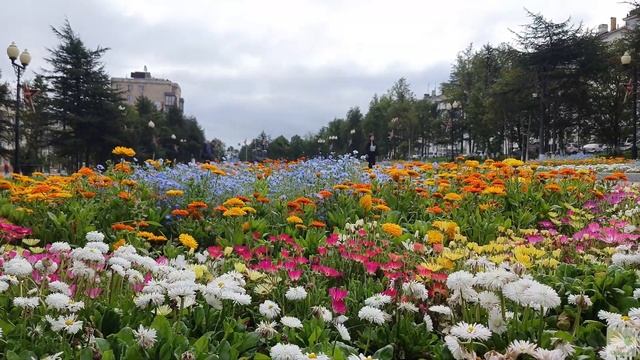 106. Дневник погоды 1.09.21 Магадан смотреть онлайн