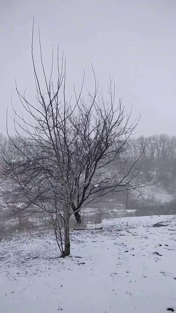 #shorts# Весенние мотивыl А зима проказница не хочет уходитьl У природы нет плохой погоды смотреть онлайн