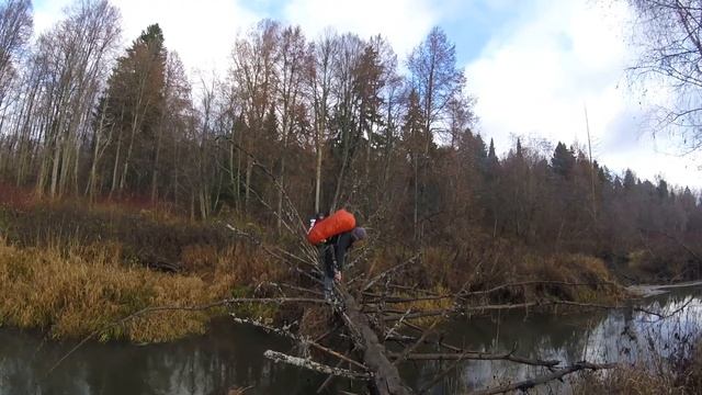 Ноябрьские 2018 смотреть онлайн