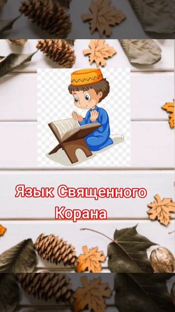 арабский для начинающих  Информация об арабском языке смотреть онлайн