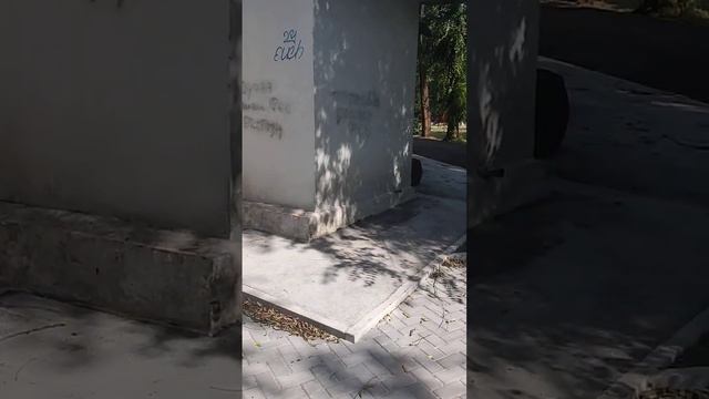 🇺🇦 Запорожье. 30.07.23. Малый Рынок. Парк Студенческий (Дробязко). Школа бокса "Боевые перчатки" #z смотреть онлайн