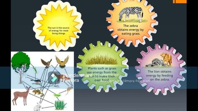 What is Photosynthesis || Grade 5 смотреть онлайн