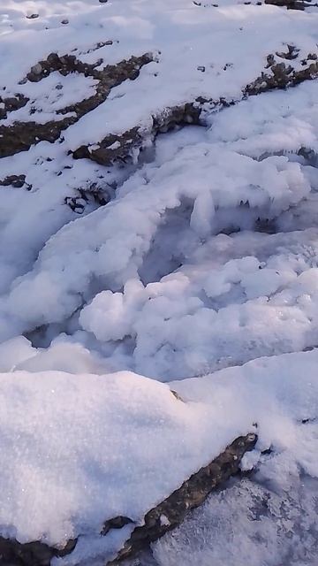 Живая ВОДА #shorts смотреть онлайн