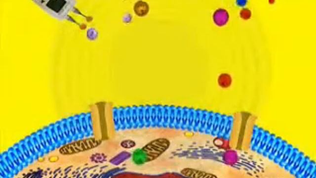 ММ волны и метаболизм. Аппарат СЕМ ТЕСН смотреть онлайн