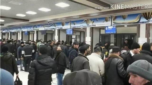 Мухочиронро аз Аерапорт Домодедово Шаб Пеш карданд Сагхо смотреть онлайн
